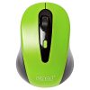 enetg213green1